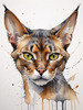 Sketchy Illustration of an Abyssinian Cat in Abstract Style