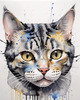Abstract Sketch of an American Shorthair Cat's Face with Striped Pattern