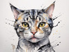 Abstract Sketch of an American Shorthair Cat's Face with Striped Pattern