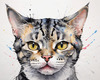 Abstract Sketch of an American Shorthair Cat's Face with Striped Pattern