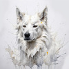 Abstract Sketch of Berger Blanc Suisse with Alert Ears and Calm Eyes