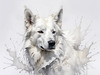 Abstract Sketch of Berger Blanc Suisse with Alert Ears and Calm Eyes