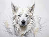 Abstract Sketch of Berger Blanc Suisse with Alert Ears and Calm Eyes