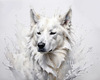 Abstract Sketch of Berger Blanc Suisse with Alert Ears and Calm Eyes