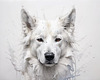 Abstract Sketch of Berger Blanc Suisse with Alert Ears and Calm Eyes