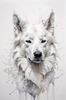 Abstract Sketch of Berger Blanc Suisse with Alert Ears and Calm Eyes