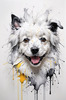 Abstract Sketch of Bolognese Dog Face with Soft Fur and Gentle Eyes