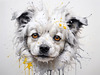 Abstract Sketch of Bolognese Dog Face with Soft Fur and Gentle Eyes