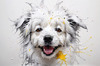 Abstract Sketch of Bolognese Dog Face with Soft Fur and Gentle Eyes