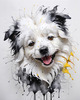 Abstract Sketch of Bolognese Dog Face with Soft Fur and Gentle Eyes