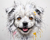 Abstract Sketch of Bolognese Dog Face with Soft Fur and Gentle Eyes