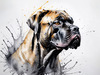 Abstract Sketchy Illustration of a Cane Corso's Face