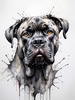 Abstract Sketchy Illustration of a Cane Corso's Face