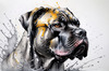 Abstract Sketchy Illustration of a Cane Corso's Face