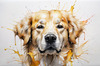 Abstract Art of a Golden Retriever's Gentle Face