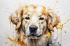 Abstract Art of a Golden Retriever's Gentle Face