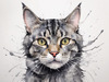 Abstract Sketch of a Grey Tabby Domestic Shorthair Cat with Striped Fur and Watchful Eyes