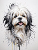 Abstract Sketch Illustration of Lhasa Apso with Flowing Hair