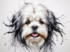 Abstract Sketch Illustration of Lhasa Apso with Flowing Hair