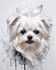 Abstract Sketchy Art of Maltese Dog with Silky Fur and Gentle Eyes