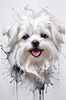 Abstract Sketchy Art of Maltese Dog with Silky Fur and Gentle Eyes