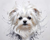 Abstract Sketchy Art of Maltese Dog with Silky Fur and Gentle Eyes