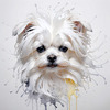 Abstract Sketchy Art of Maltese Dog with Silky Fur and Gentle Eyes