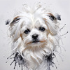 Abstract Sketchy Art of Maltese Dog with Silky Fur and Gentle Eyes