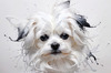 Abstract Sketchy Art of Maltese Dog with Silky Fur and Gentle Eyes