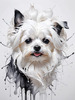 Abstract Sketchy Art of Maltese Dog with Silky Fur and Gentle Eyes