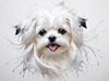 Abstract Sketchy Art of Maltese Dog with Silky Fur and Gentle Eyes