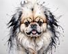 Abstract Sketch of Pekingese Face with Lion-like Mane
