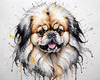 Abstract Sketch of Pekingese Face with Lion-like Mane