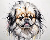 Abstract Sketch of Pekingese Face with Lion-like Mane