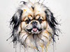 Abstract Sketch of Pekingese Face with Lion-like Mane