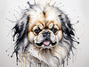 Abstract Sketch of Pekingese Face with Lion-like Mane