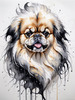 Abstract Sketch of Pekingese Face with Lion-like Mane