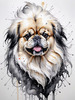 Abstract Sketch of Pekingese Face with Lion-like Mane