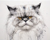 Luxurious Abstract Sketch of Persian Cat's Face with Flowing Fur
