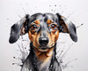Abstract Sketch of a Playful Dachshund's Face