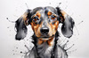 Abstract Sketch of a Playful Dachshund's Face