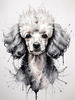 Abstract Art Illustration of a Poodle's Face with Curly Fur