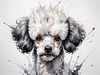 Abstract Art Illustration of a Poodle's Face with Curly Fur