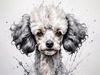 Abstract Art Illustration of a Poodle's Face with Curly Fur