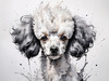 Abstract Art Illustration of a Poodle's Face with Curly Fur