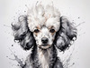Abstract Art Illustration of a Poodle's Face with Curly Fur