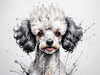 Abstract Art Illustration of a Poodle's Face with Curly Fur