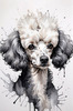 Abstract Art Illustration of a Poodle's Face with Curly Fur