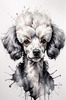 Abstract Art Illustration of a Poodle's Face with Curly Fur