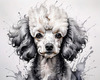 Abstract Art Illustration of a Poodle's Face with Curly Fur